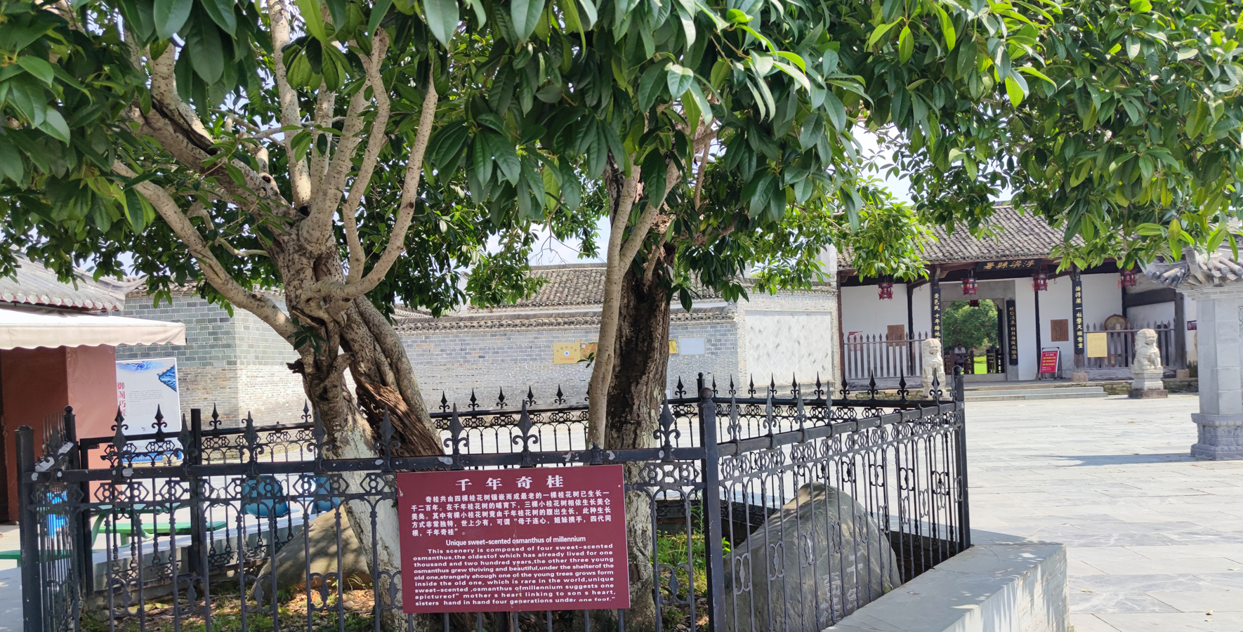 Jingdezhen ancient county government office