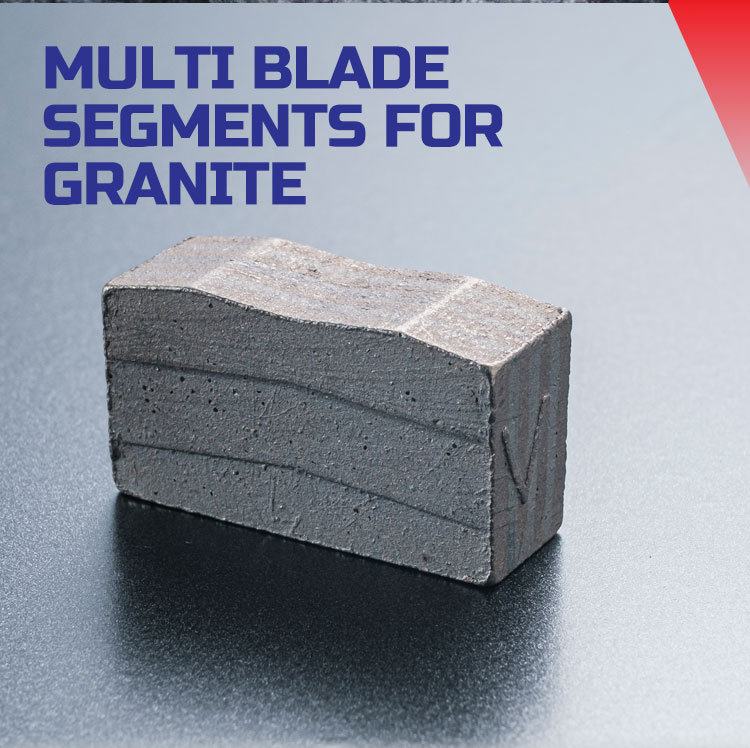 multiblade segment